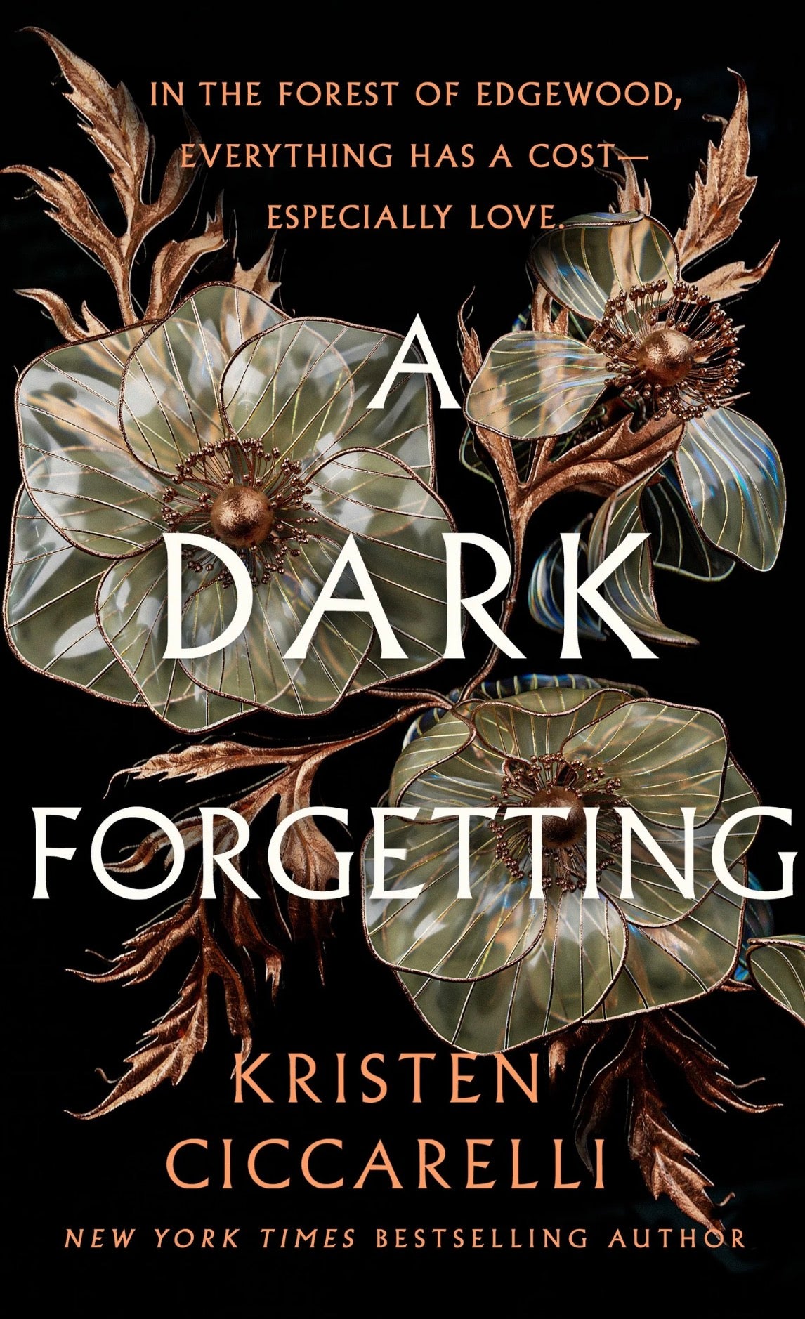 A Dark Forgetting by Kristen Ciccarelli.